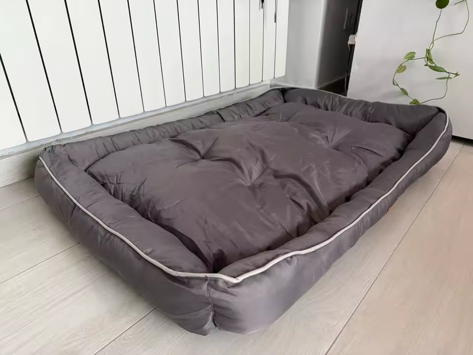 The Dream Bed