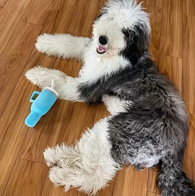 The Pup Cup