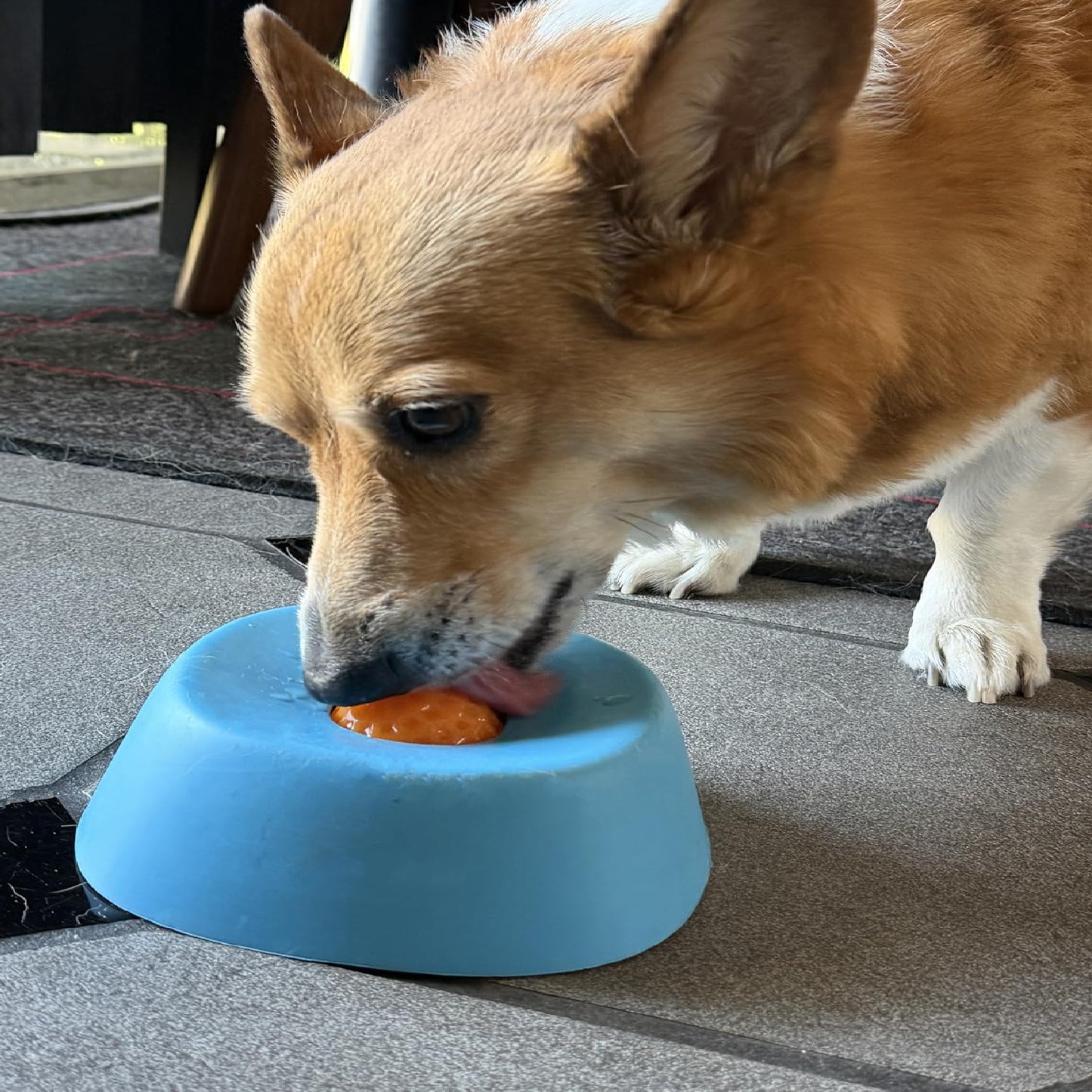 The Busy Bowl™