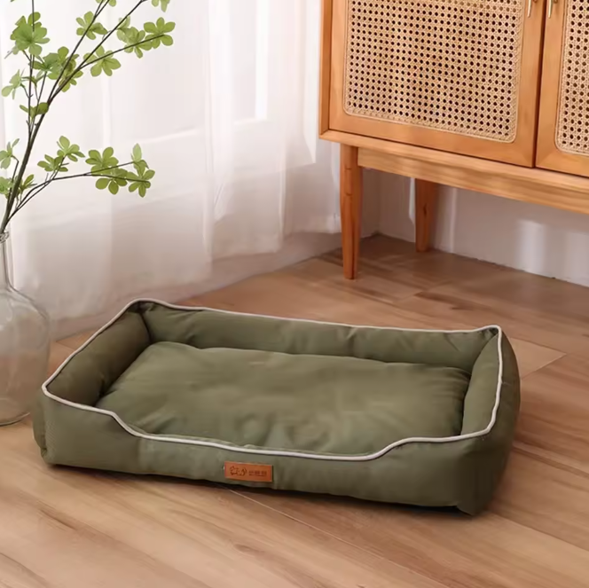 The Dream Bed
